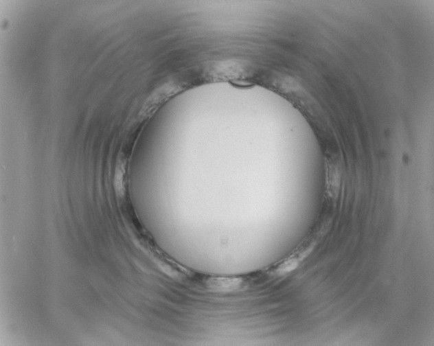 X0000057090334200510071917