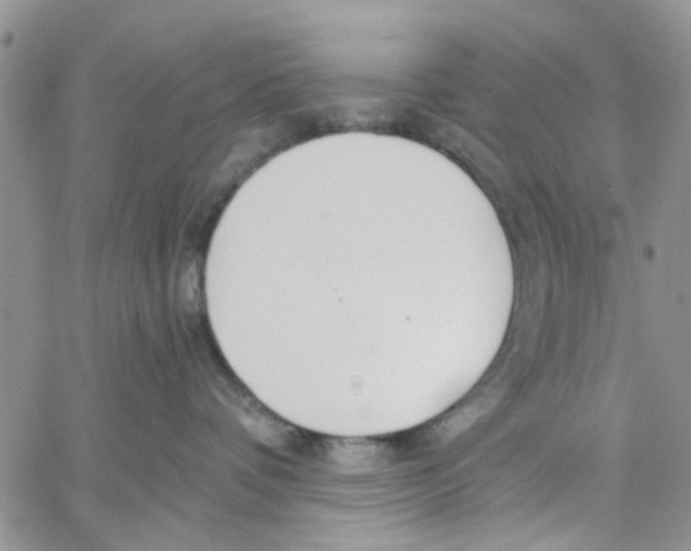 X0000057090336200510071917