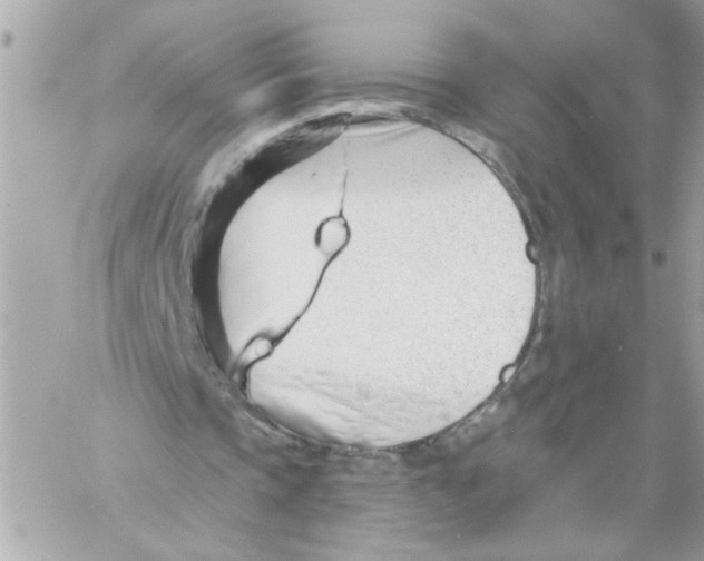 X0000057090337200510071917