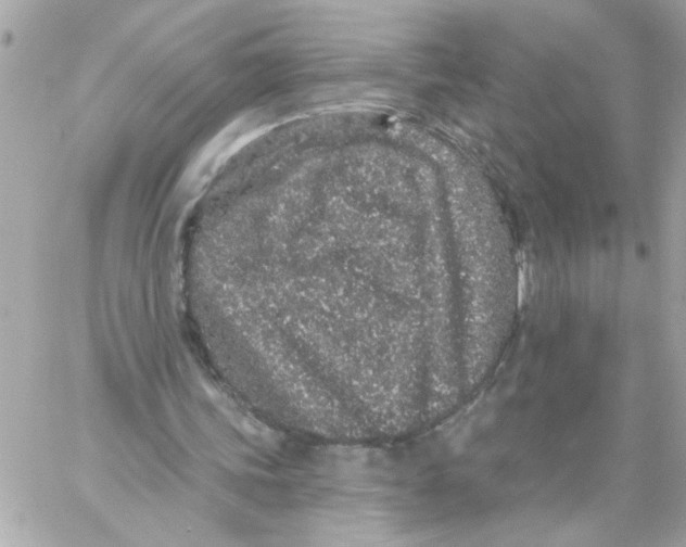 X0000057090339200510071917