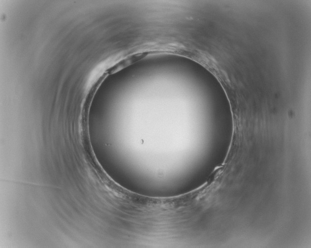 X0000057090340200510071917