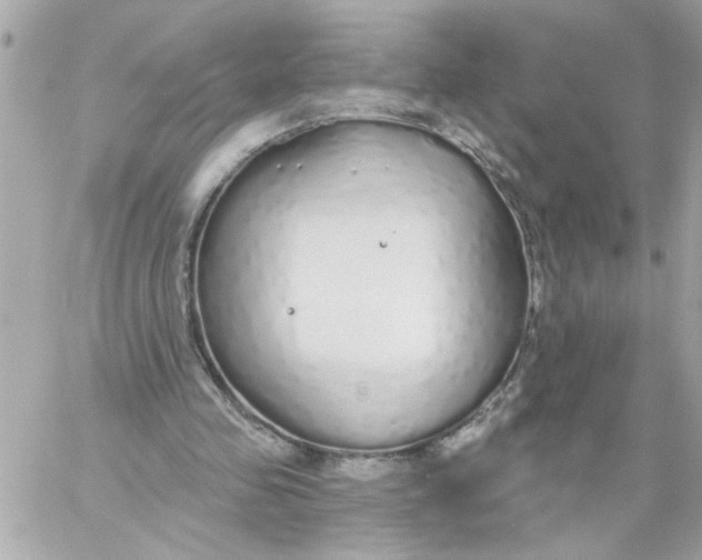 X0000057090341200510071917