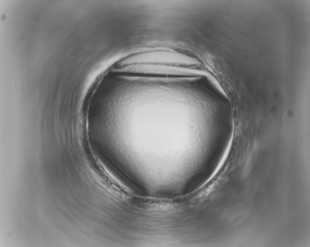 X0000057090342200510071917