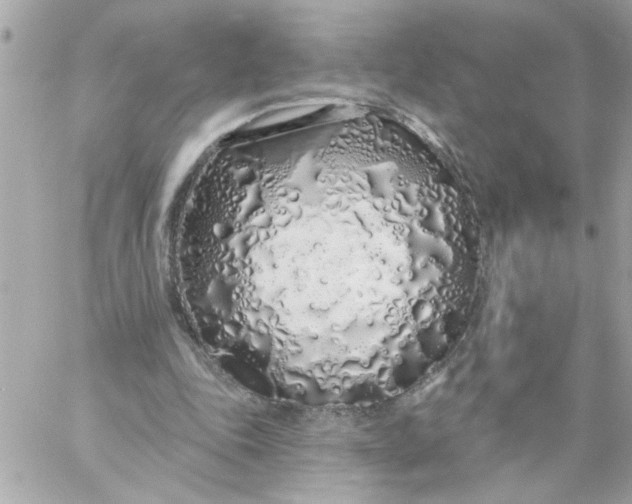 X0000057090343200510071917