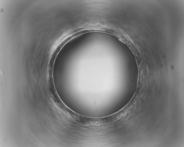 X0000057090344200510071917