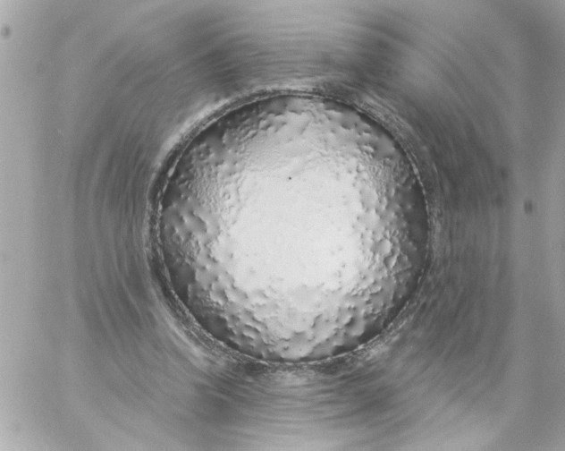 X0000057090346200510071917