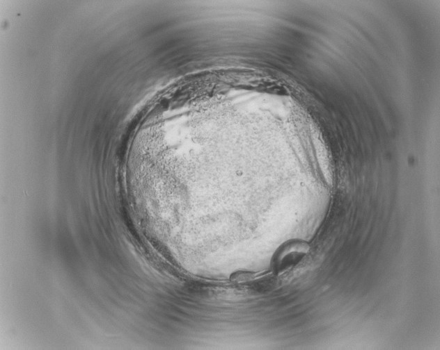 X0000057090347200510071917