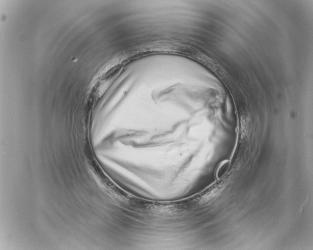 X0000057090349200510071917