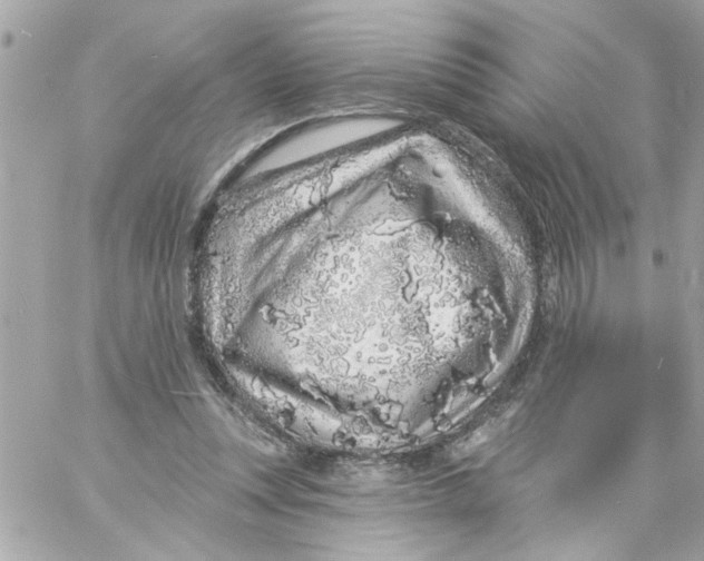 X0000057090351200510071917