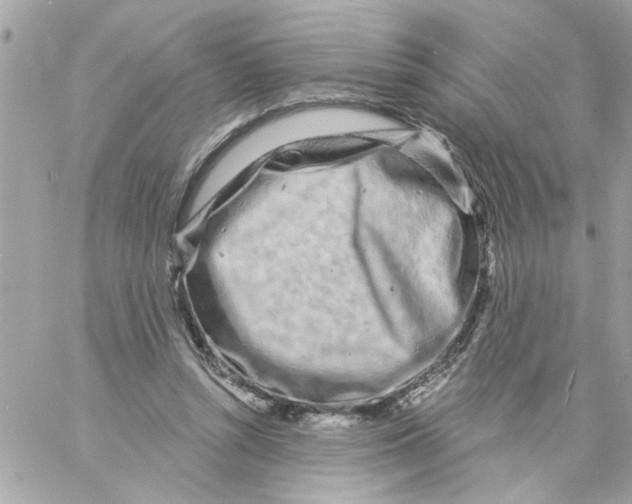 X0000057090352200510071917