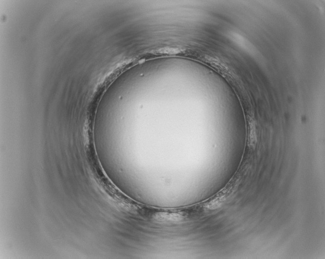 X0000057090354200510071917