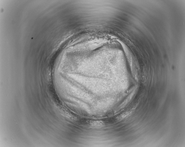 X0000057090355200510071917