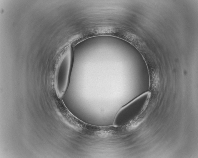 X0000057090356200510071917