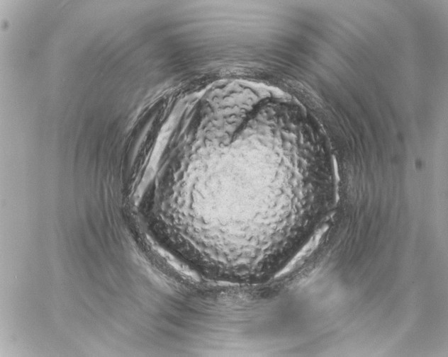 X0000057090357200510071917