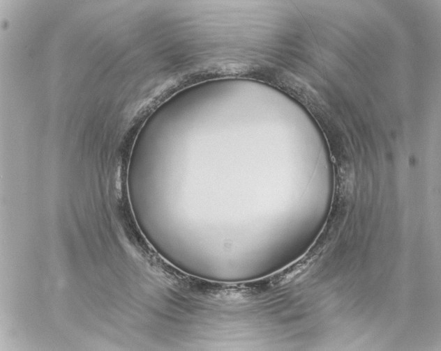 X0000057090358200510071917