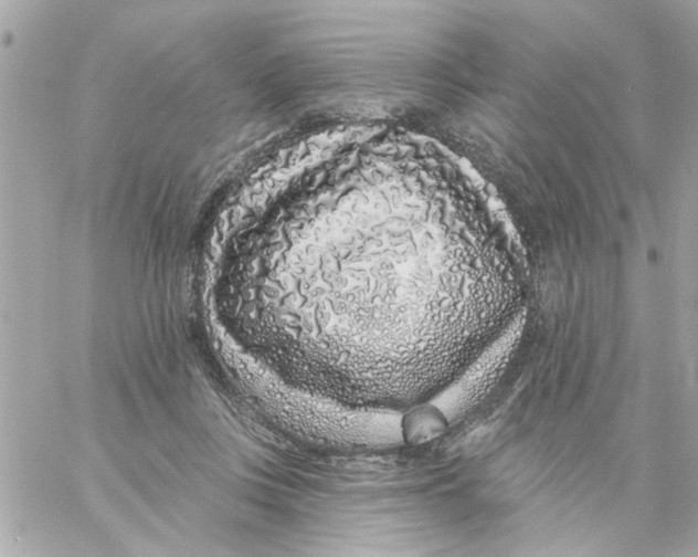 X0000057090359200510071917