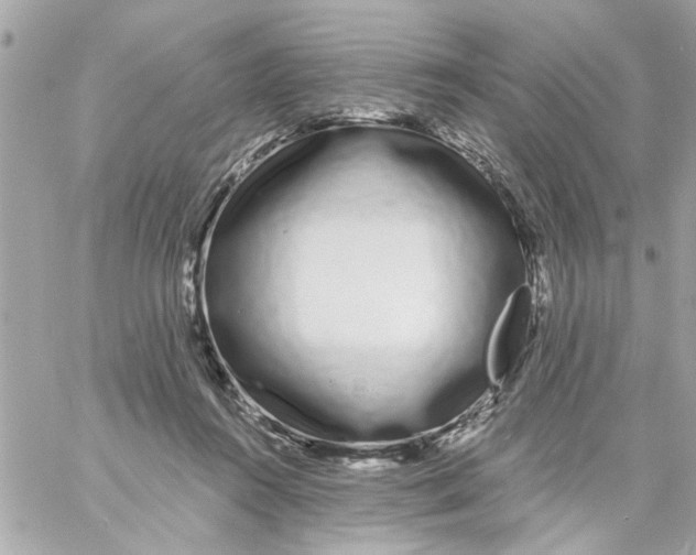 X0000057090360200510071917