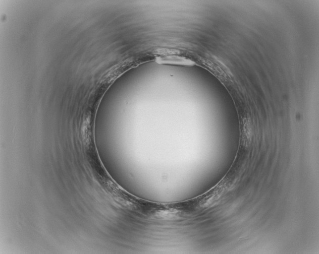 X0000057090364200510071917