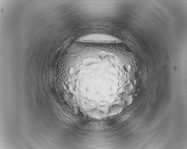 X0000057090367200510071917