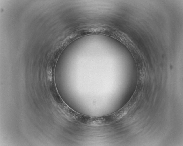 X0000057090368200510071917