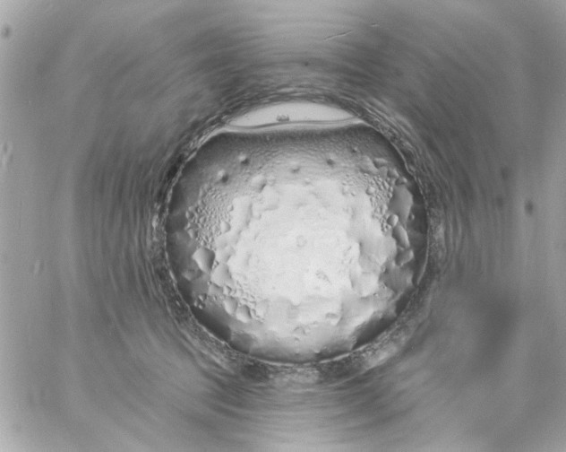 X0000057090369200510071917