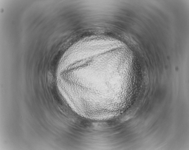 X0000057090371200510071917