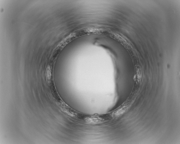 X0000057090372200510071917