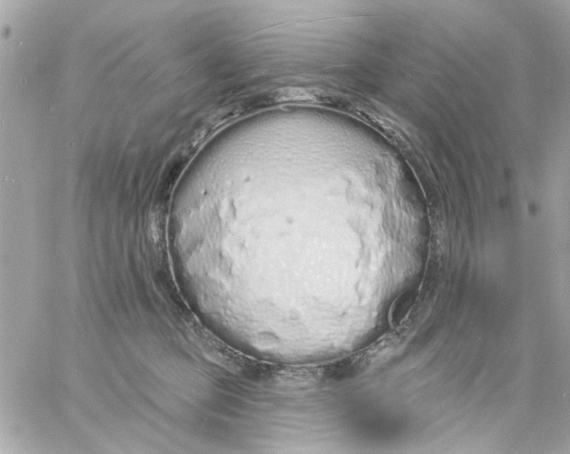 X0000057090373200510071917