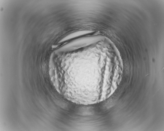 X0000057090375200510071917