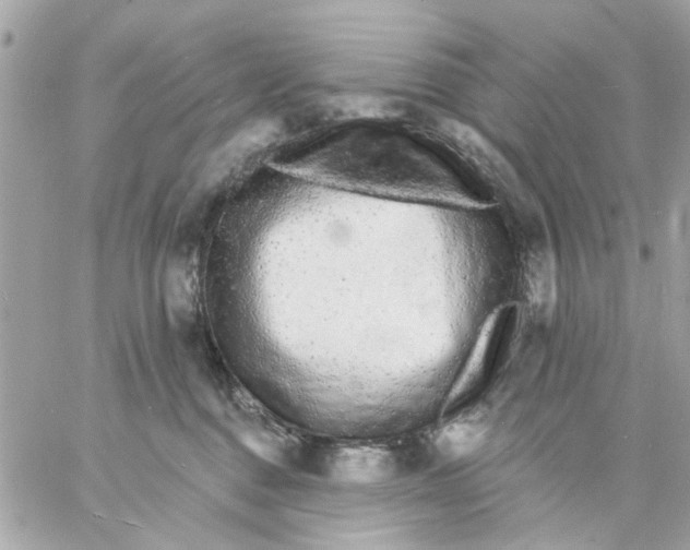 X0000057090376200510071917