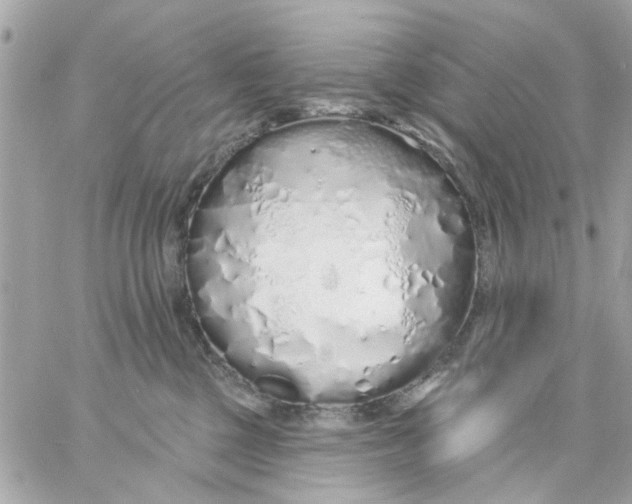 X0000057090377200510071917