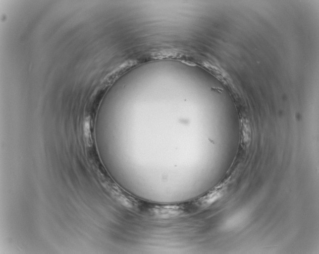 X0000057090378200510071917