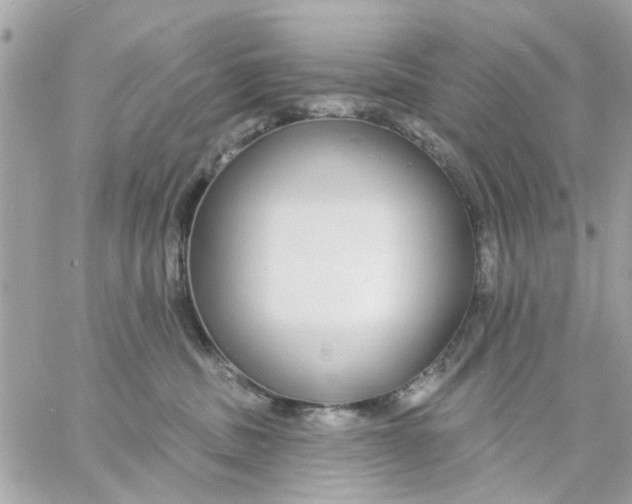 X0000057090379200510071917