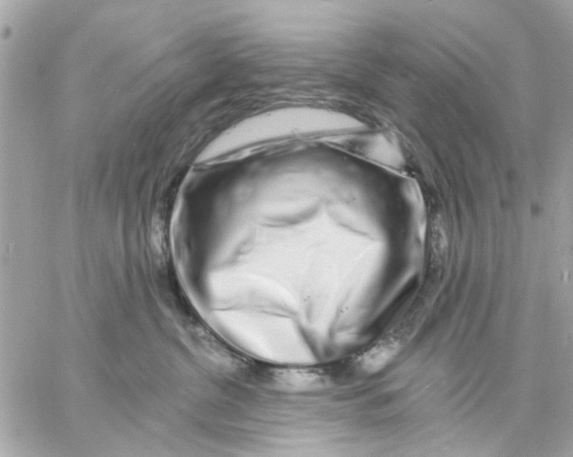 X0000057090380200510071917