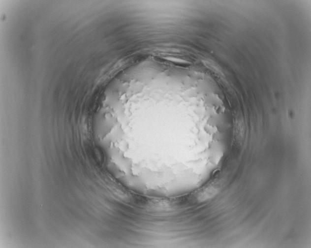 X0000057090381200510071917