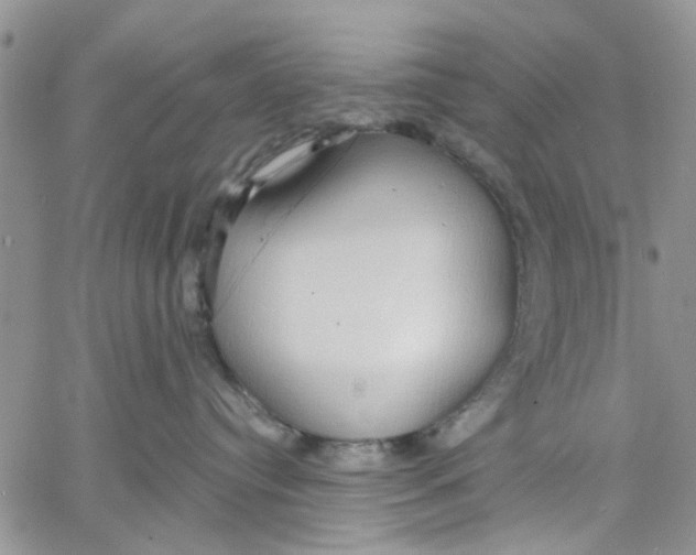 X0000057090384200510071917