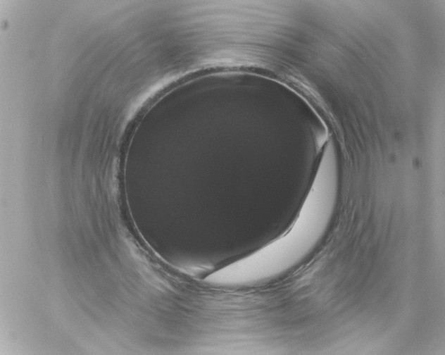 X0000057090387200510071917