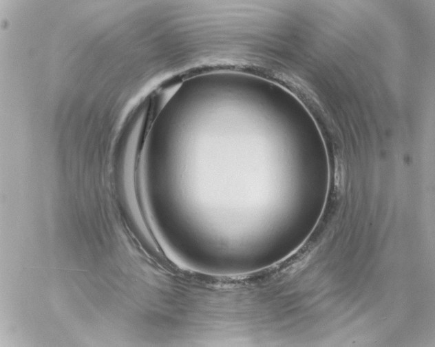 X0000057090388200510071917