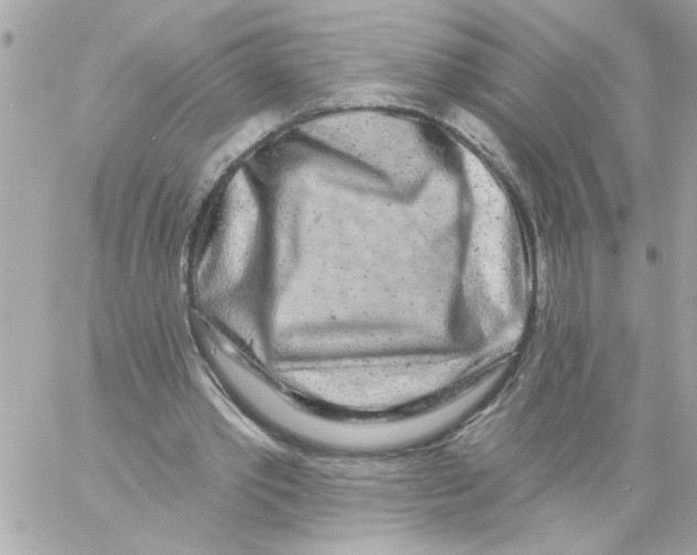 X0000057090389200510071917