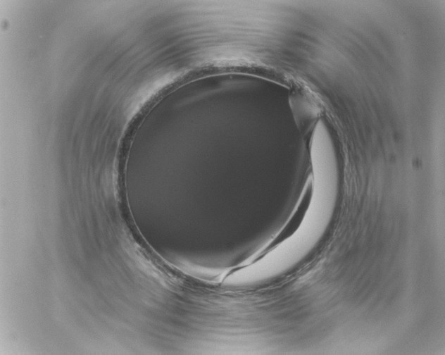 X0000057090391200510071916