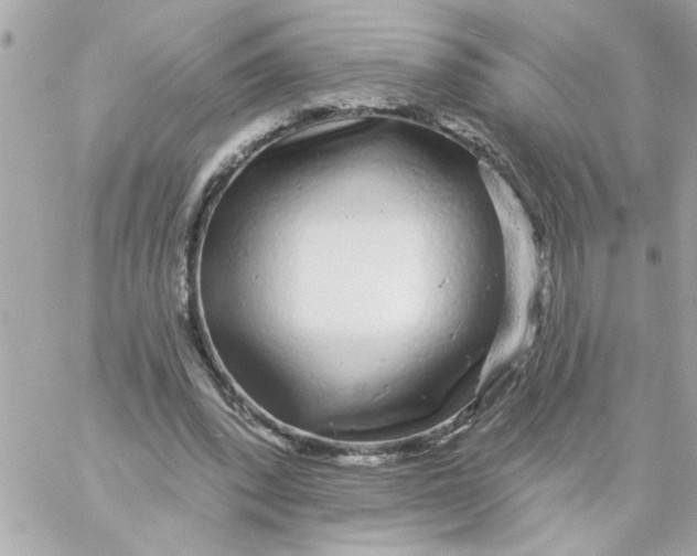 X0000057090392200510071916