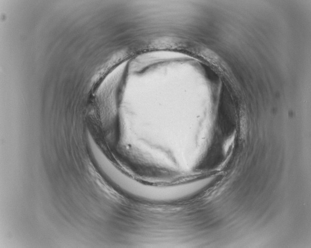 X0000057090393200510071916