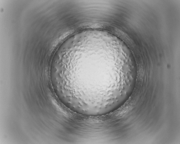 X0000057090394200510071916