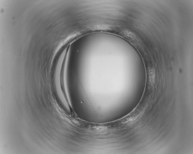 X0000057090395200510071916