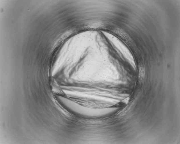 X0000057090397200510071916