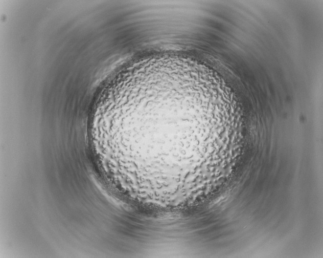 X0000057090398200510071916