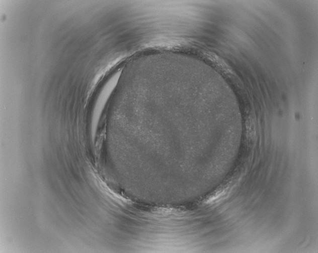 X0000057090399200510071916