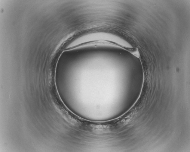 X0000057090400200510071916