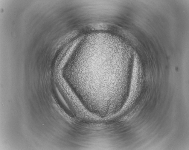 X0000057090402200510071916