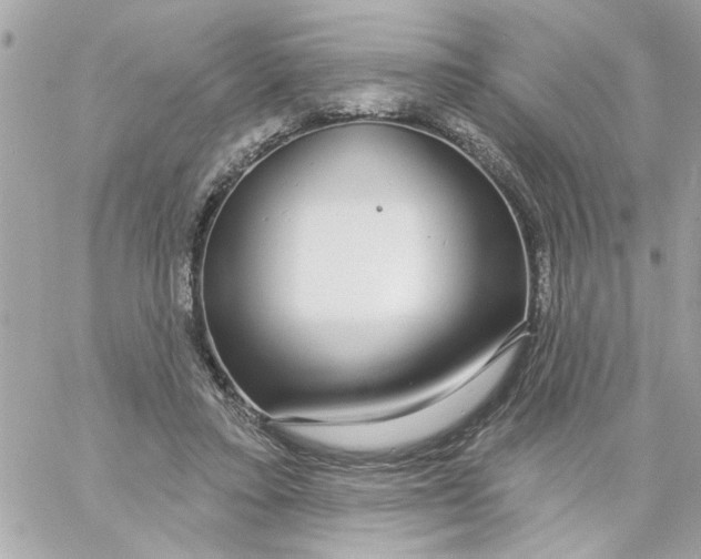 X0000057090403200510071916